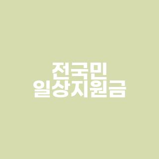 전국민 일상지원금