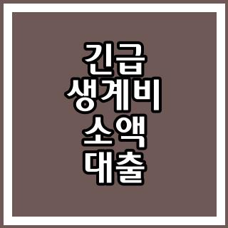 긴급 생계비 소액 대출