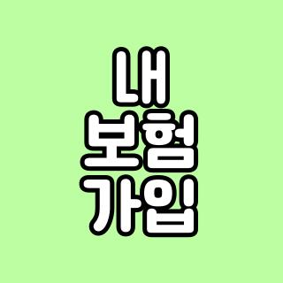 내 보험 가입