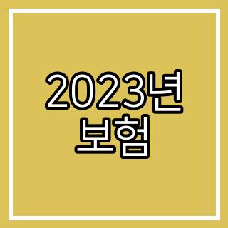 2023년 보험