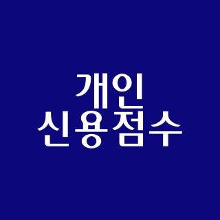 개인 신용점수