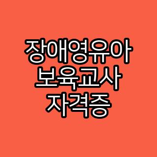 장애영유아 보육교사 자격증