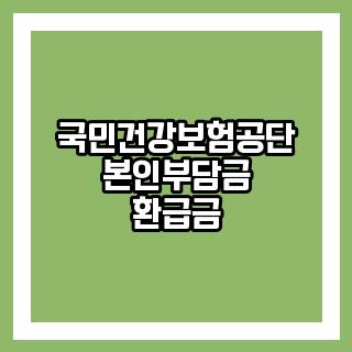 국민건강보험공단 본인부담금 환급금