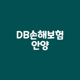 DB손해보험 안양