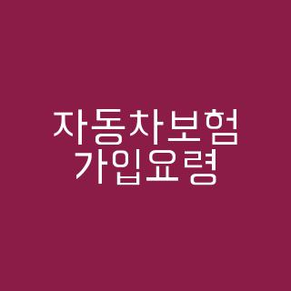 자동차보험 가입요령