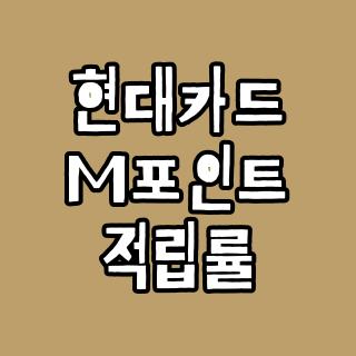 현대카드 M포인트 적립률