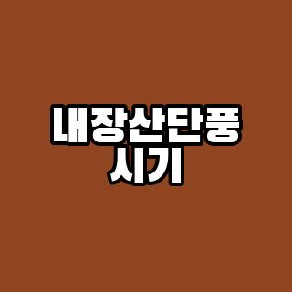 내장산단풍 시기