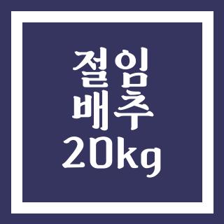 절임 배추 20kg