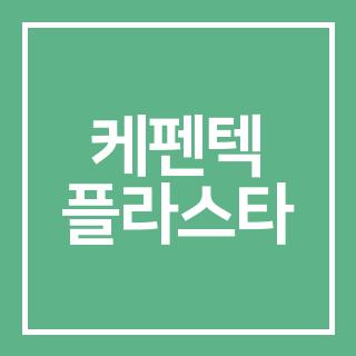 케펜텍 플라스타